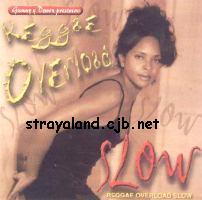 Reggae Overload Slow